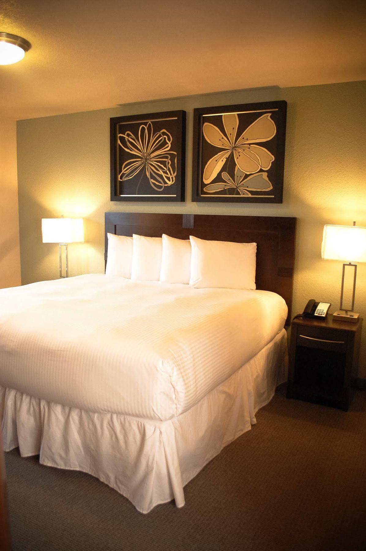 Unique Suites Hotel Charleston Eksteriør bilde