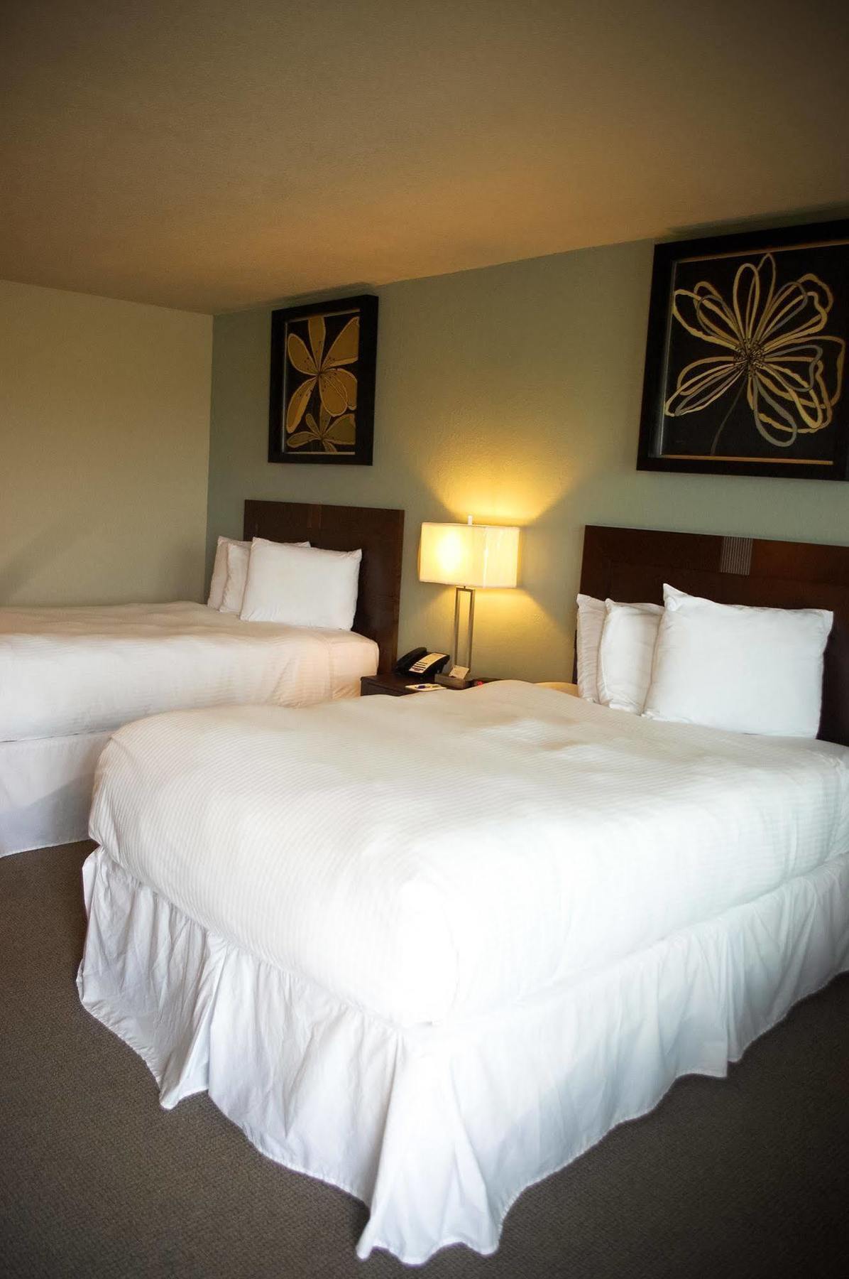 Unique Suites Hotel Charleston Eksteriør bilde